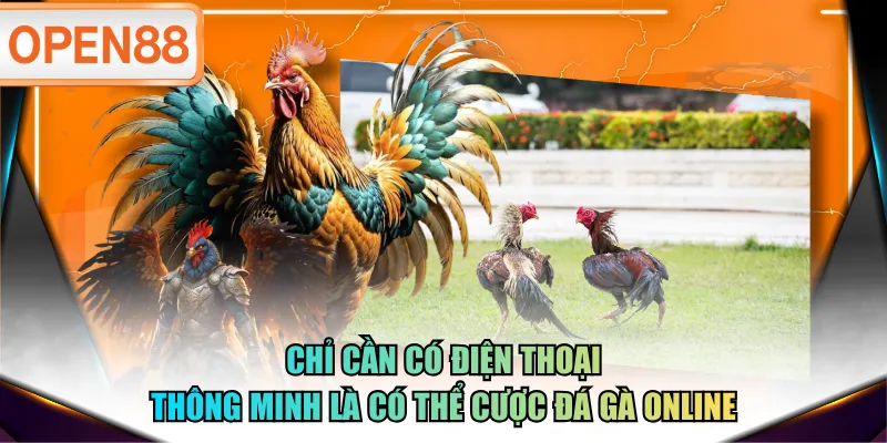 Chỉ cần có điện thoại thông minh là có thể cược đá gà online Chỉ cần có điện thoại thông minh là có thể cược đá gà online