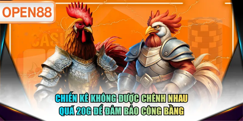 Chiến kê không được chênh nhau quá 20g để đảm bảo công bằng Chiến kê không được chênh nhau quá 20g để đảm bảo công bằng